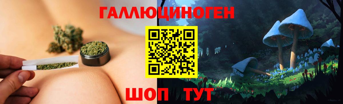 Псилоцибиновые грибы Cubensis  Вход с VPN  Краснознаменск 